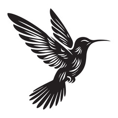 stylized black and white illustration of a hummingbird, showcasing its beauty and dynamic movement with fanned tail feathers and wide wings