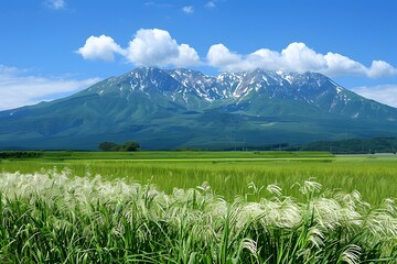 Obraz premium Summer Mountain Landscape with Green Fields