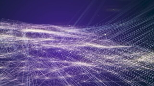 Abstract animation in the form of a cosmic web.