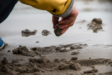 Kid picking up wet sand on a beach