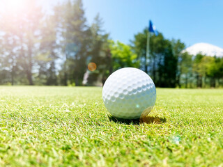 ゴルフ場と白い綺麗なゴルフボール