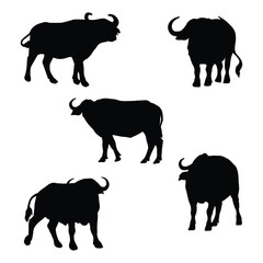 Set of Buffalo Silhouette Vector Illustration 