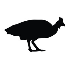 Guinea Fowl Silhouette Vector Illustration