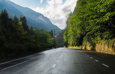 The highway through the forest. Black Sea region, Turkey