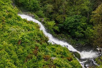 Stream of water descending at high speed and pressure between abundant leafy trees and green wild vegetation of valley, leaving  Robertville Dam, cloudy day in Waimes, Belgium