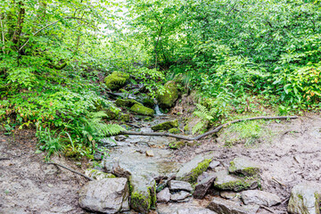 Water flow between rocks with moss and wild vegetation on mountain slope, green foliage in background, cloudy summer day in in the Warche valley, Waimes, Belgium