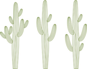 Cactus outline. Isolated cactus on white background © oleg7799