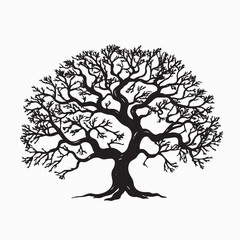 Black silhouette of a banyan isolate which background