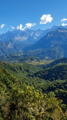 Naklejka premium mountain range covered with green jungle under blue sky