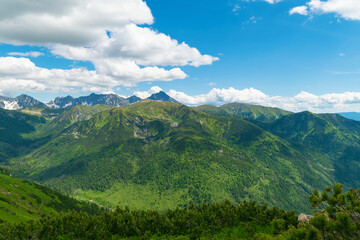 Obraz premium Beautiful mountain landscape in summer. Green grass, high rocks, blue sky and white clouds. Natural background. Tatra Mountains