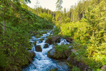 Fototapeta premium Mountain river on a summer morning. Beautiful natural background. Tatra Mountains