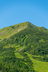 Obraz premium Beautiful summer landscape in the mountains. Green mountains and blue sky. Tatras