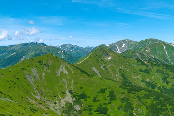 Obraz premium Beautiful summer landscape in the mountains. Green mountains and blue sky. Tatras
