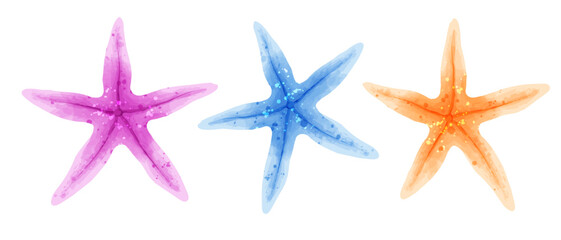 Set of multi-colored colorful starfish. Vector set of illustrations of sea animals in watercolor style isolated on white