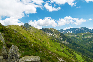 Fototapeta premium Beautiful mountain landscape in summer. Green grass, high rocks, blue sky and white clouds. Natural background. Tatra Mountains