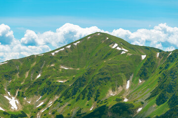 Fototapeta premium Beautiful summer landscape in the mountains. Green mountains and blue sky. Tatras