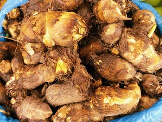 Closeup of taro root vegetable starchy food closeup arbi arvi taroroot colocasia esculenta inhame,...