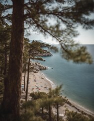 podrace dalmatia water pine europa tourtourism croatia sea brela travel beach resort trees boat