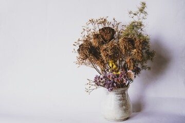old dry flowers in a vase 