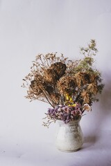 old dry flowers in a vase 