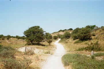 Zuid-Kennemerland National Park, NL (analog)