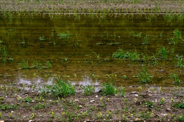 Überschwemmung