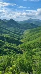 Obraz premium Aerial View of Lush Green Mountain Valley Landscape with Blue Sky and Clouds