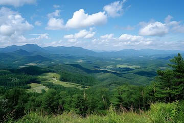 Fototapeta premium Mountainous Landscape with Lush Green Forests and Blue Sky