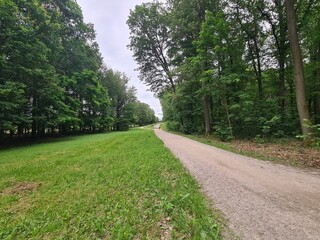 ein Wanderpfad im Grünen von der Moritzburg zum Fasanschlösschen in Moritzburg, einem Ort in Sachsen - Deutschland