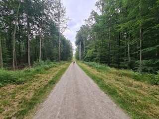 ein Wanderpfad im Gr&uuml;nen von der Moritzburg zum Fasanschl&ouml;sschen in Moritzburg, einem Ort in Sachsen - Deutschland
