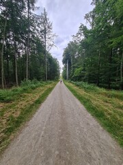 ein Wanderpfad im Grünen von der Moritzburg zum Fasanschlösschen in Moritzburg, einem Ort in Sachsen - Deutschland