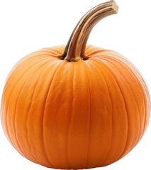 Pumpkin Vector Image Transparent Background