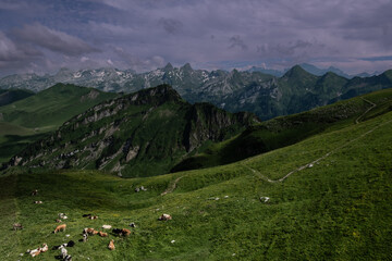 Landscape view of the swiss alps, with a meadow in the foreground, shot in Stoos, Schwyz, Switzerland