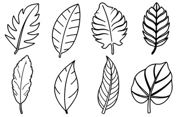 Banana leaf line art design organic drawing illustration