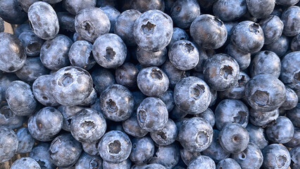 Blueberries. Sweet forest tasty healthy blueberries. Berries close-up.