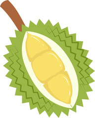 Durian Illustration. Durian fruit.