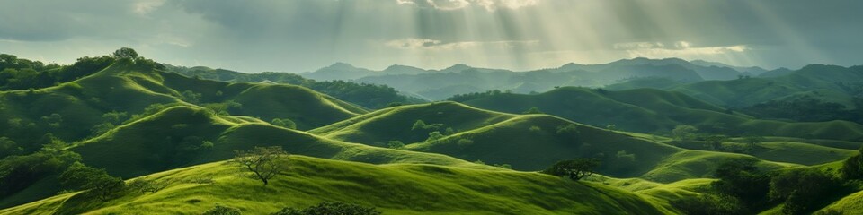 An idyllic lush pastures and plantations on rolling hills under springtime rays and sunlight.