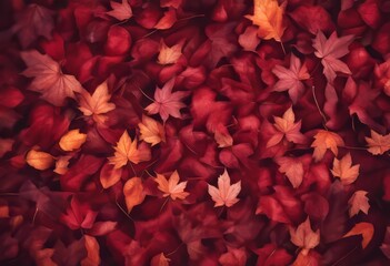concept autumn brown dark red background view top leaves fall colours color