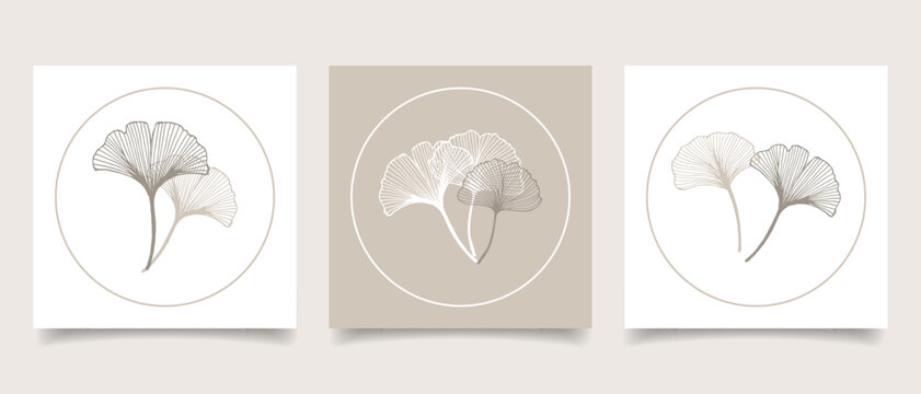 Ginkgo biloba leaves. Minimal set of wedding cards, logo for cosmetics, spa, jewelry, yoga design, manicure, branding packaging. Illustration in linear style.