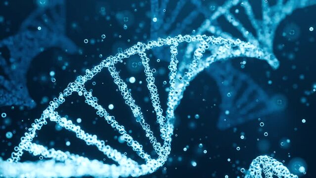 Close up DNA strand, helix structure in blue surrounded by fluid particles. Biotechnology, human genome, laboratory research, genetic and medical science concept.