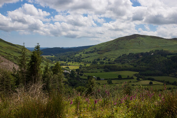 Fototapeta premium Glenmalure valley at the Wicklow way, Ireland