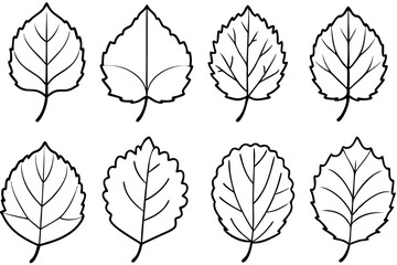 Aspen Leaf Graphic Line Art Drawing