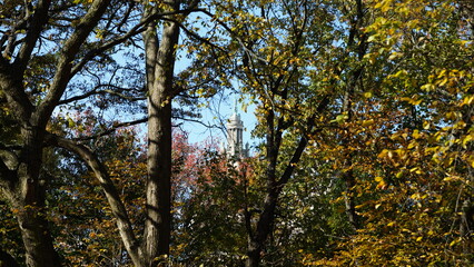 The beautiful central park autumn landscape with the colorful trees in New York