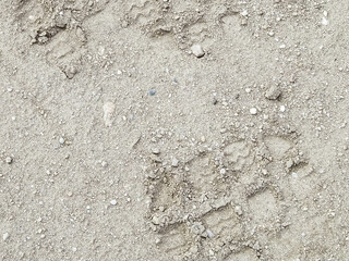 Footprint on ground as a background.