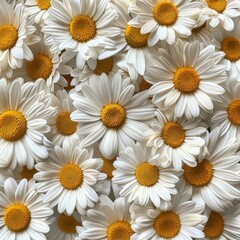 Fototapeta premium White Daisy Bouquet