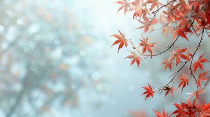 Maple Leaves With Copy Space