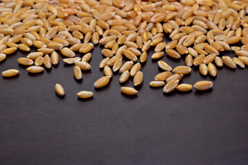 Wheat on dark Background, Healthy Food.