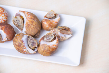 Fresh sea babylonia areolata shell boiled on the white dish. Served with spicy seafood sauce.