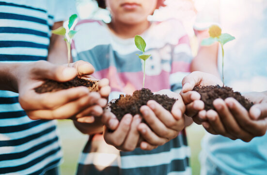 Group, children and hands with plant in soil for earth day, commitment for planet or climate change. Young people, sustainability and solidarity with community inclusion for environment in outdoor
