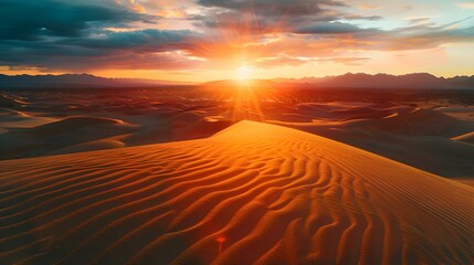 Naklejka premium Desert at sunset with long shadows img